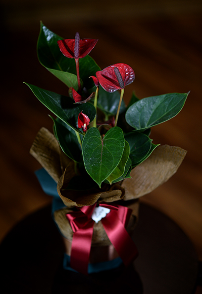 FPE_0918.jpg